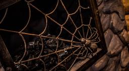 перформанс Изгнание в Ярославле фото 3